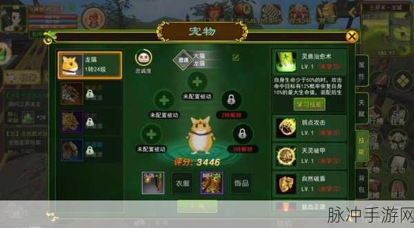 热血江湖,揭秘灵宠小猫的强化秘籍