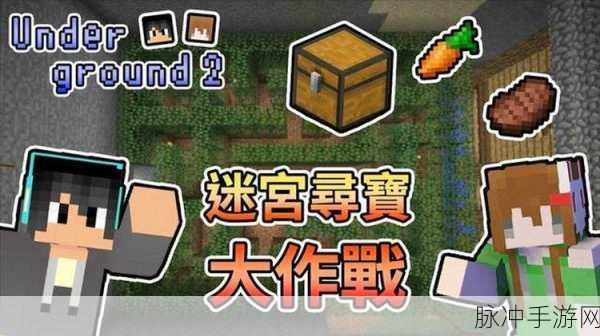 我的世界手游迷宫寻宝,多样玩法揭秘