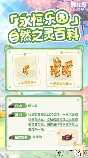 奥比岛:梦想国度深度揭秘,华大夫全信息图鉴大公开