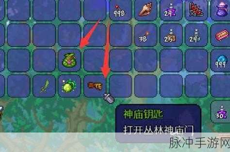 泰拉瑞亚掠夺者掉落揭秘,探索地下丛林的宝藏