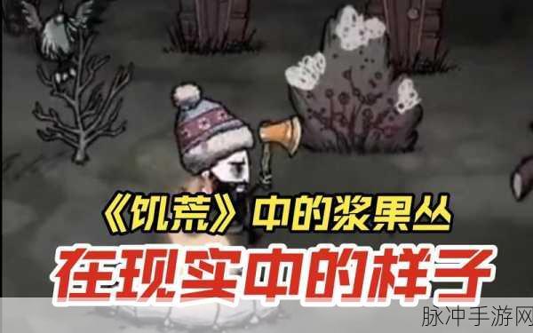 饥荒多汁浆果,生存与冒险中的能量源泉