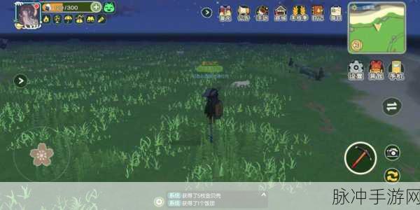 小森生活竹子获取位置全攻略