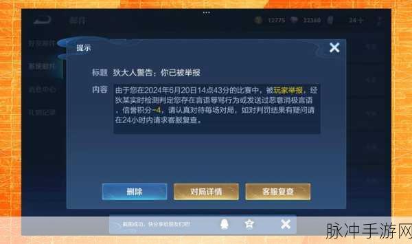 王者荣耀点赞记录删除难题,真相揭秘与应对策略