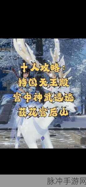 剑网3手游风起稻香,解锁旧事繁任务全攻略大揭秘