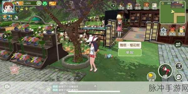 小森生活白色围栏更换全攻略