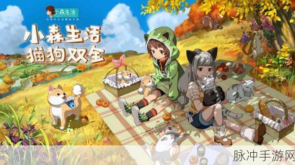 小森生活,解锁柿子果冻秘籍,甜蜜制作之旅全攻略