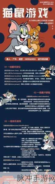 猫和老鼠婚礼大作战,制胜秘籍大公开!