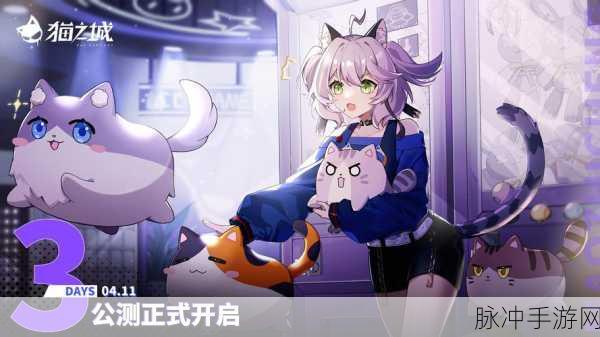 猫之城乐园惊魂夜,全面解析活动玩法