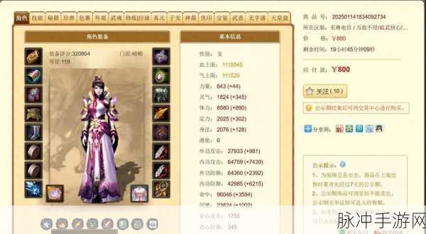 太极熊猫2,御雨狐仙角色出装与高效装备搭配全攻略