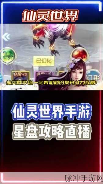 仙剑3D回合深度解析,仙灵幻梦通关全攻略
