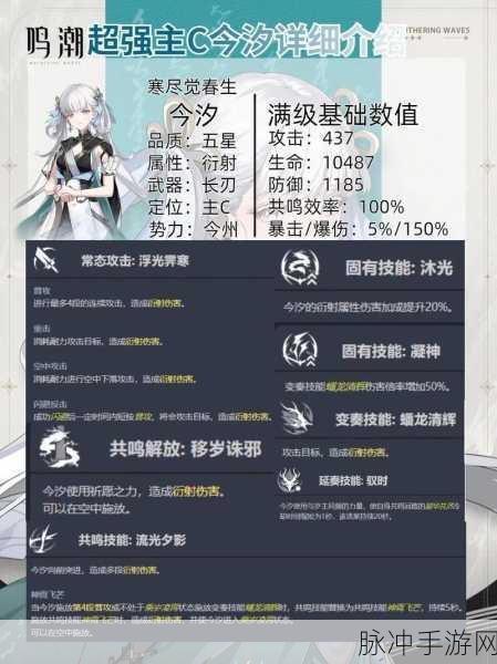 鸣潮飞逝90级面板全解析,属性与玩法深度探索