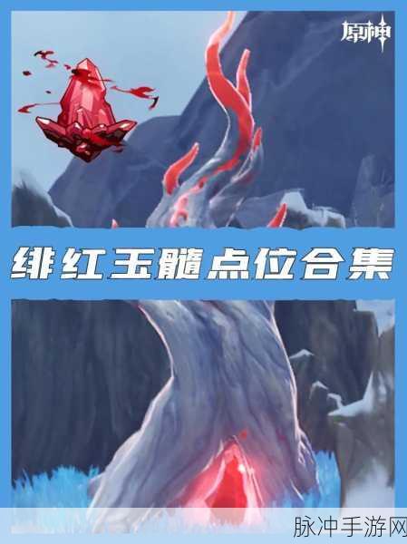 绯红玉髓探秘,原神雪山难寻宝藏全攻略