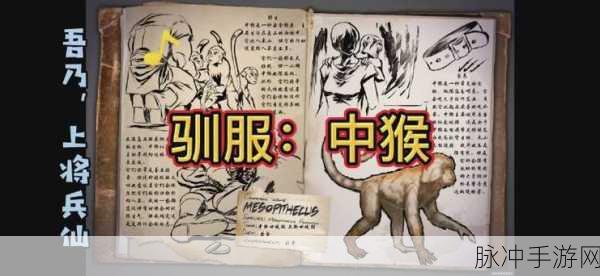 方舟生存进化,中猴加点攻略大揭秘