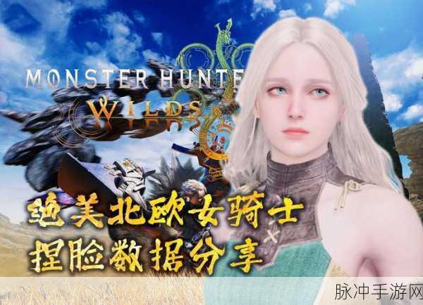 怪物猎人新视界,骑士姐姐角色深度剖析与勇敢女性形象重塑