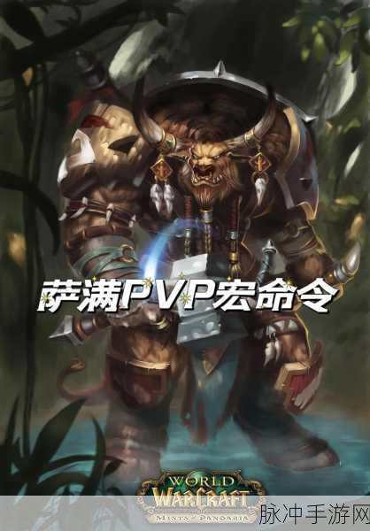 WLK萨满PVP种族选择大揭秘,部落联盟谁领风骚?
