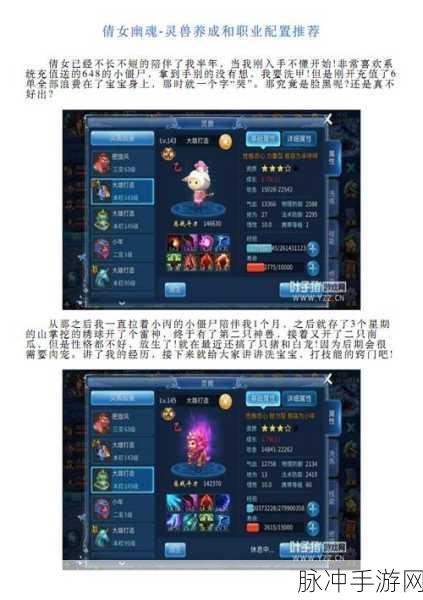 倩女幽魂手游,灵兽培养指南,揭秘哪些灵兽值得你倾心