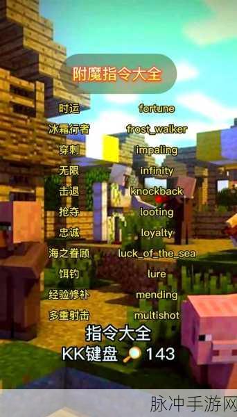 我的世界装备附魔秘籍,打造最强神器攻略