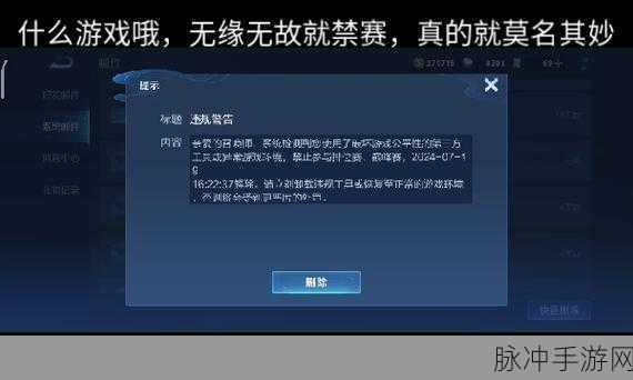 王者荣耀7小时禁赛全解析,如何避免与应对