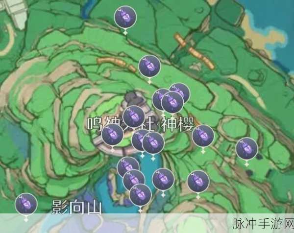 原神秘境挑战全解析,堇色之庭通关秘籍