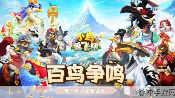 小鸟爱飞翔,卡牌世界的翱翔之旅,即刻下载畅享!