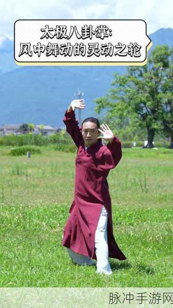 八卦掌六十四手震撼来袭,体验纯正中国风武术动作游戏