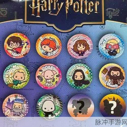 哈利波特脸型礼包,探索魔法世界的个性化之旅
