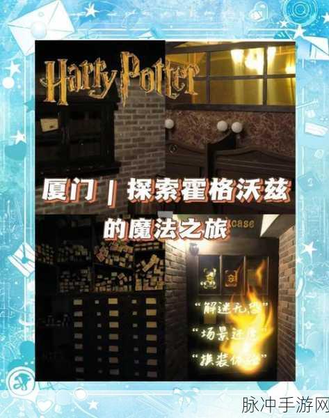 哈利波特脸型礼包,探索魔法世界的个性化之旅
