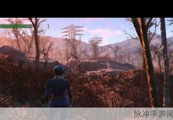 辐射4秘籍在手,废土探险无忧,全方位攻略与代码宝典