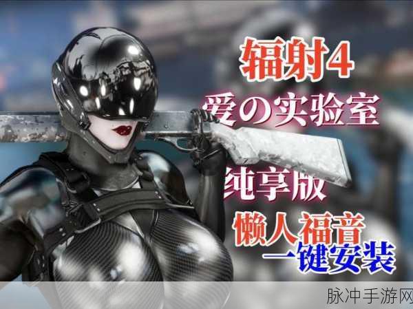 辐射4秘籍在手,废土探险无忧,全方位攻略与代码宝典