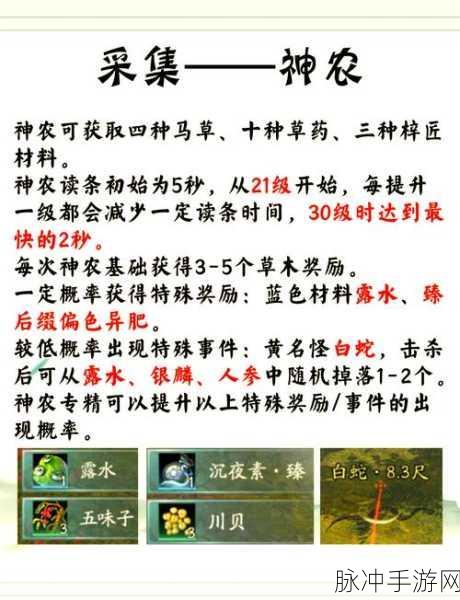 剑网3指尖江湖辣椒获取秘籍，食材收集新篇章