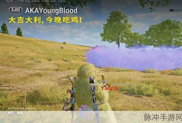 绝地求生大逃杀低配版震撼来袭,畅享流畅吃鸡体验