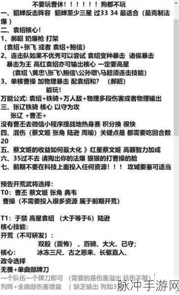 战地无疆,顶尖阵容大揭秘,策略搭配让你主宰战场