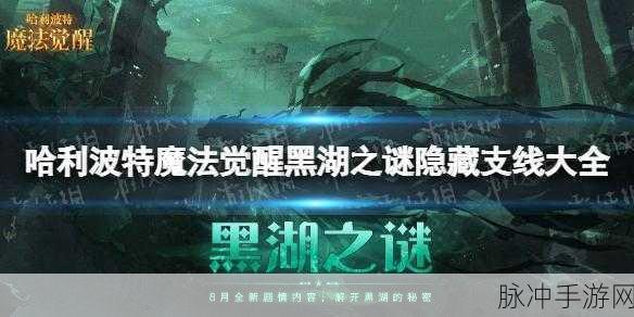 哈利波特魔法觉醒,黑湖之谜第五章深度攻略