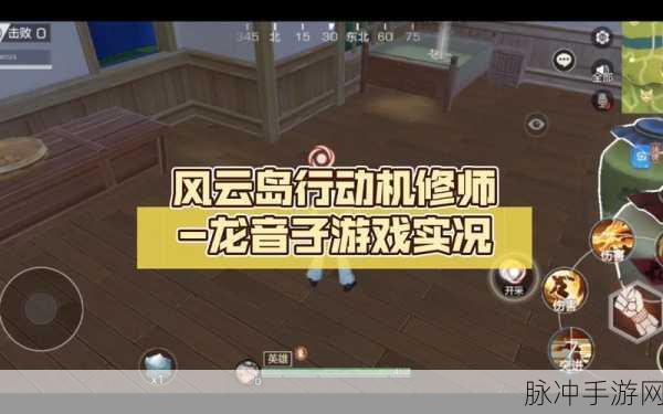 风云岛行动,龙音子深度攻略秘籍,解锁战斗新境界