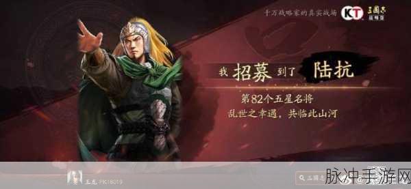 三国志战略版陆抗,冷门背后的战场定位与玩家偏好