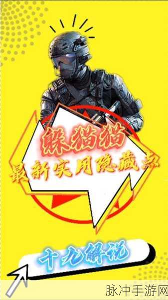 使命召唤躲猫猫模式,深度玩法与制胜攻略