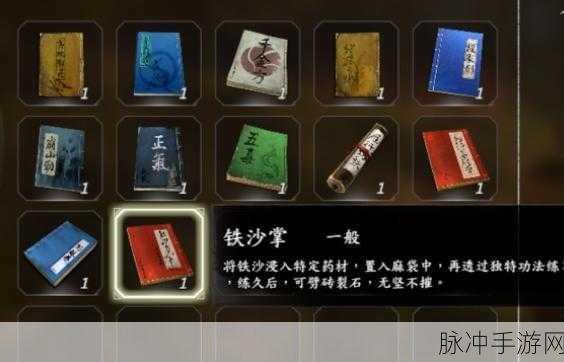 河洛群侠传开局升级秘籍,新手快速崛起攻略