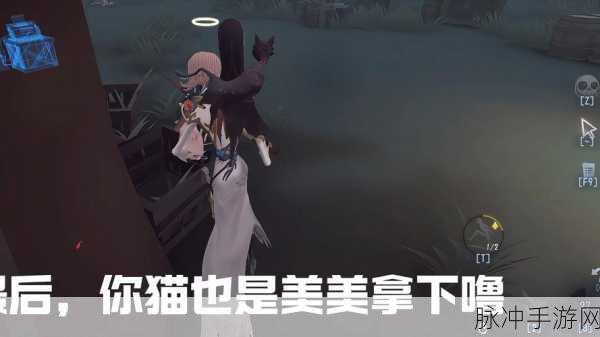 第五人格深度剖析,高手秘籍与实战智慧全揭秘
