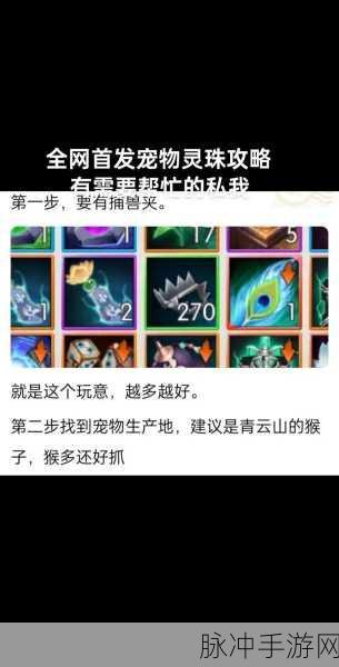 诛仙手游深度探索,宠物资质与成长率,谁主沉浮?宠物养成全攻略
