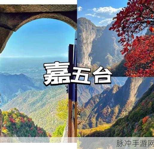 古剑奇谭三探险指南,追踪苍虬藏宝图,揭秘宝藏之谜