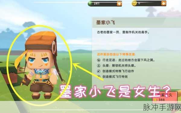 墨家小飞,揭秘迷你世界中的特效装扮皮肤