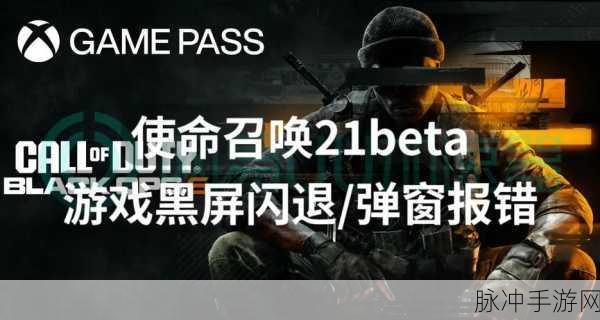 使命召唤手游黑屏危机来袭,玩家自救指南大公开!