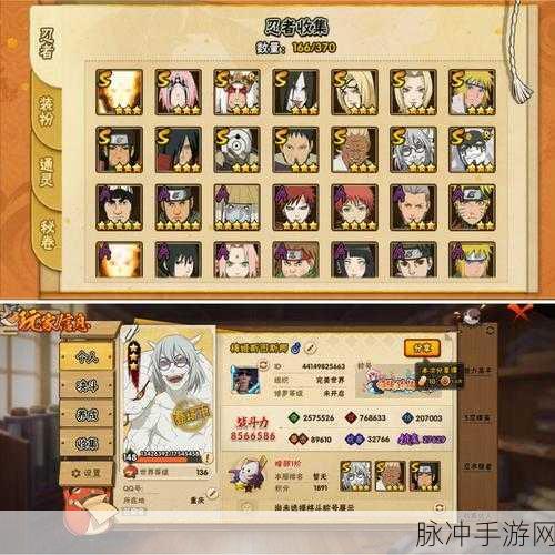 火影忍者手游深度探索,忍界召集券的珍贵价值与管理艺术