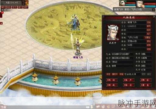 大话西游手游,敏队PK战场上的荣耀逆袭传奇