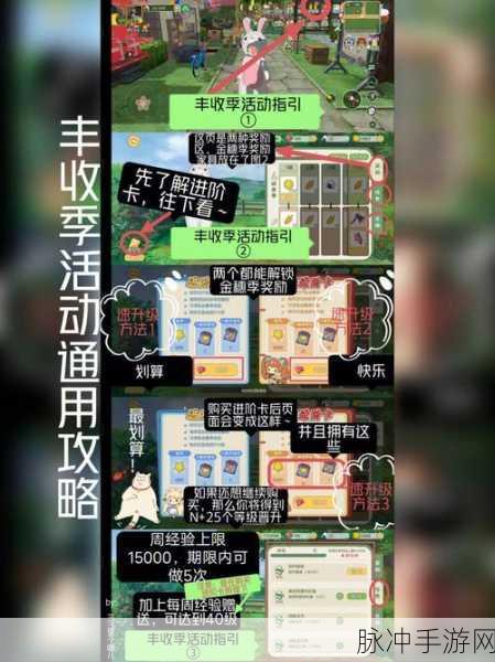 小森生活柿子果冻解锁全攻略,轻松享受甜蜜时光