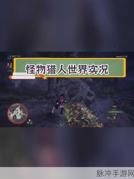 怪物猎人世界强击瓶实战应用全攻略
