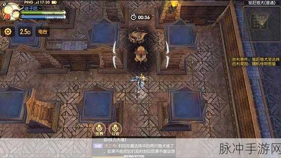 传说龙之谷探险全揭秘,勇者们如何铸就荣耀之旅