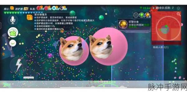 球球大作战生存道具赛,规则详解与策略指南