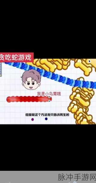 贪吃蛇大作战,揭秘蛇身更替奥秘与游戏背后的故事