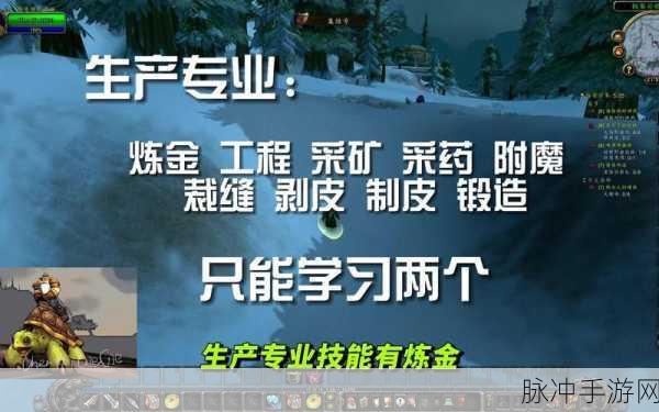 魔兽世界搬砖职业全攻略,高效赚钱秘籍